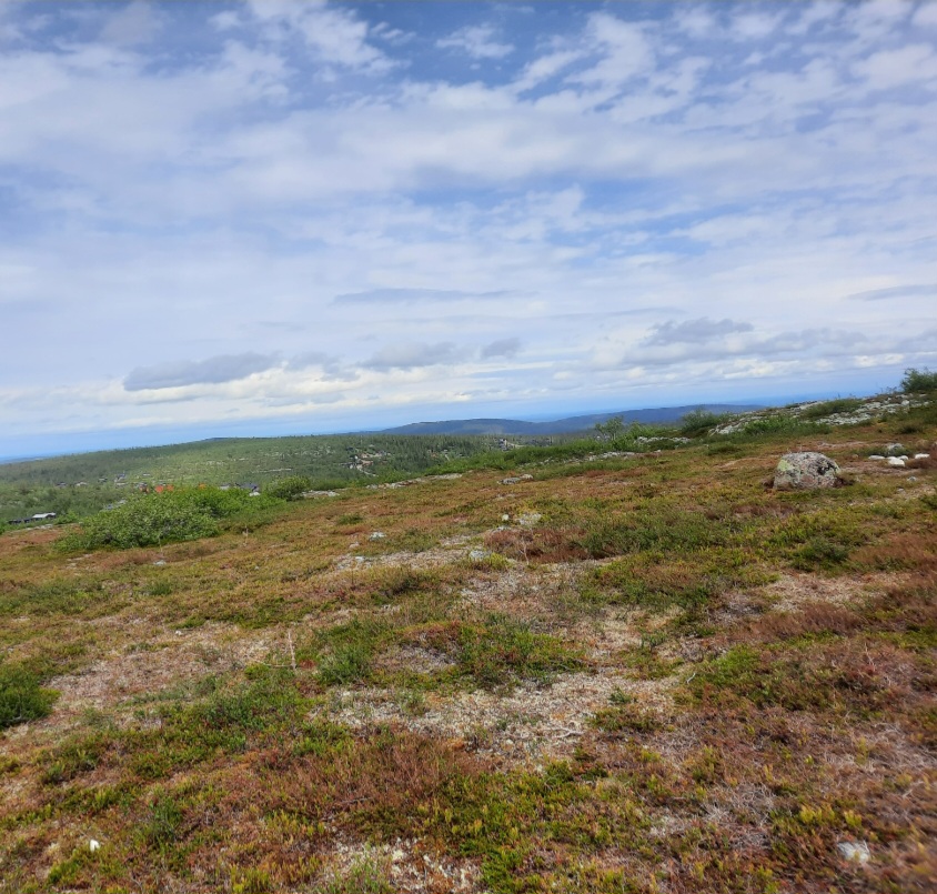 För att klargöra äktheten av varje tavla så är det ett unikt serienummer, datum, namn, signaturen av mig på varje tavlas baksida och betalning som gör en säker certifiering av äktheten. Min signatur på framsidan är också det som gör certifieringen av äktheten komplett.